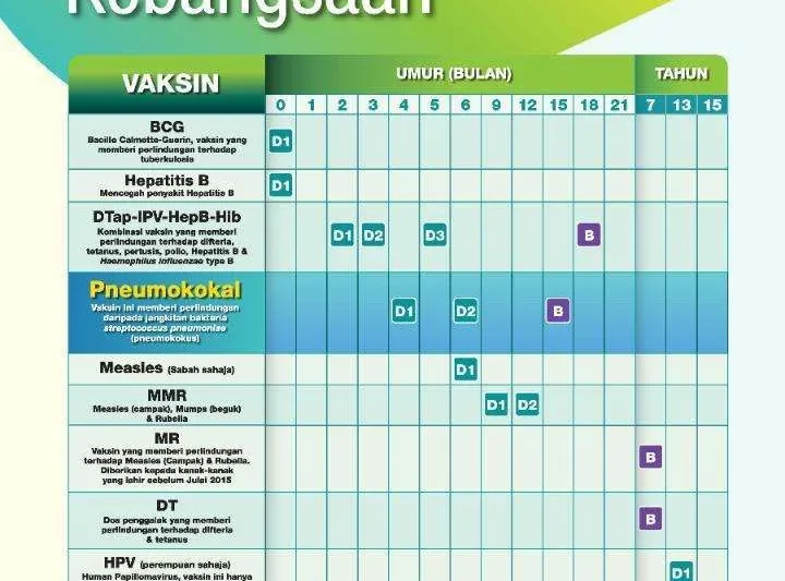 Imunisasi Anak Terkini: Perisai Kesehatan Generasi Penerus
