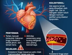 Kolesterol Tinggi: Musuh Tersembunyi dalam Pembuluh Darah Anda