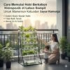 Cara Memulai Hobi Berkebun Hidroponik di Lahan Sempit Untuk Memenuhi Kebutuhan Sayur Keluarga