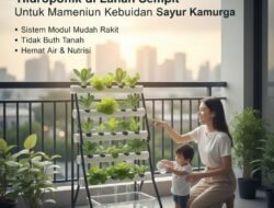 Cara Memulai Hobi Berkebun Hidroponik di Lahan Sempit Untuk Memenuhi Kebutuhan Sayur Keluarga